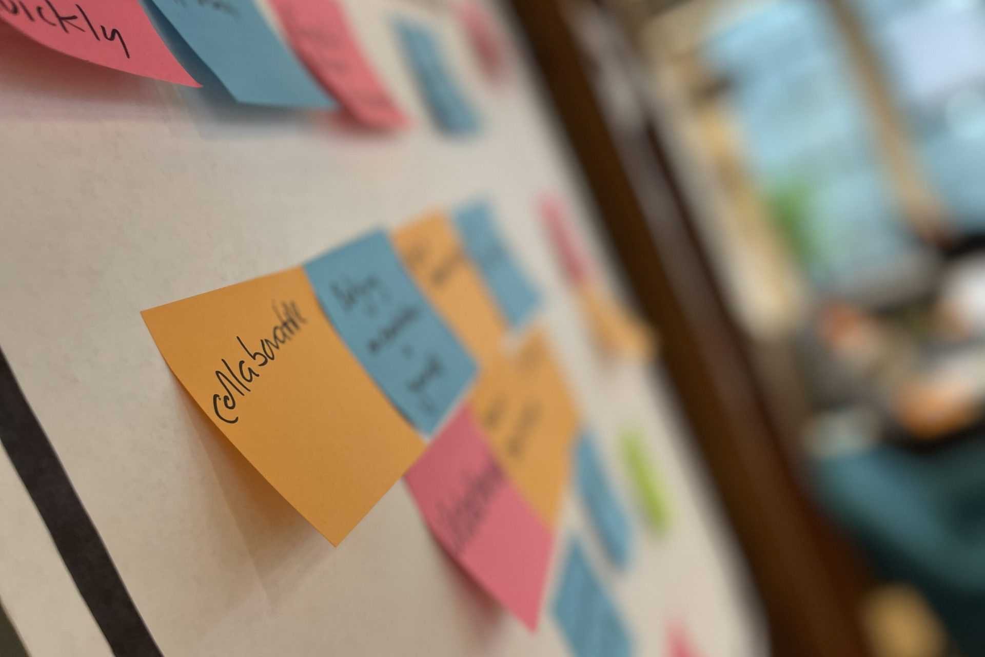 IMG_7539-scaled-rgwdghy88w3d7e87e6rgk85bfeqs7gov7vh4z7m48w